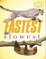 Fastest and Slowest