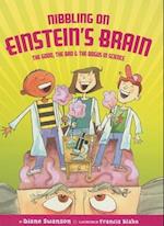 Nibbling on Einstein's Brain