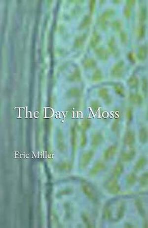 The Day in Moss