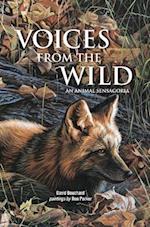 Voices from the Wild