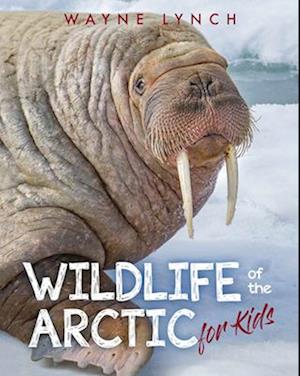 Wildlife of the Arctic for Kids