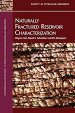 Naturally Fractured Reservoir Characterization 