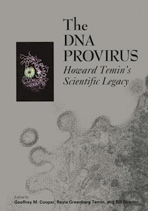 The DNA Provirus