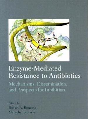 Enzyme-Mediated Resitance to Antibiotics