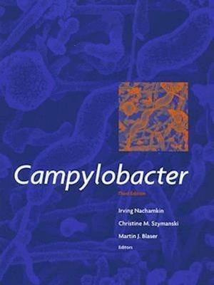 Campylobacter