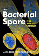 Bacterial Spore