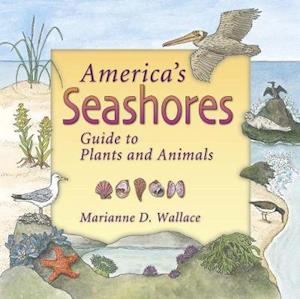 America's Seashores