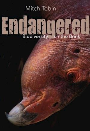 Endangered