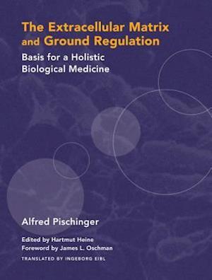 The Extracellular Matrix and Ground Regulation