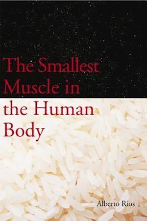 The Smallest Muscle in the Human Body