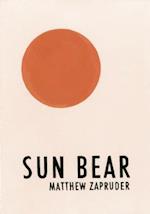 Sun Bear