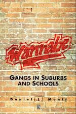 Wannabe – Gangs in Suburbs and Schools