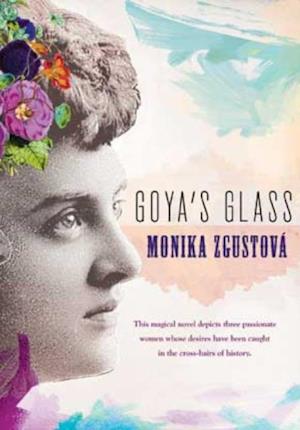 Goya''s Glass