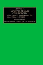 Molecular Processes of Photosynthesis