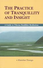 The Practice of the Tranquility & Insight
