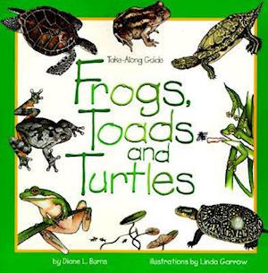 Frogs, Toads & Turtles