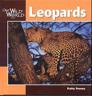 Our Wild World Leopards