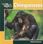 Chimpanzees