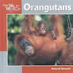 Orangutans