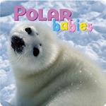 Polar Babies