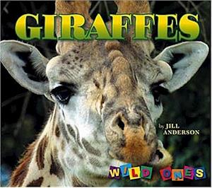 Giraffes