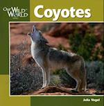 Coyotes