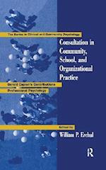 Consultation In Community, School, And Organizational Practice