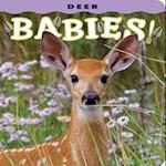 Deer Babies!