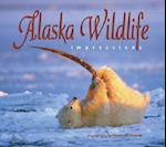 Alaska Wildlife Impressions