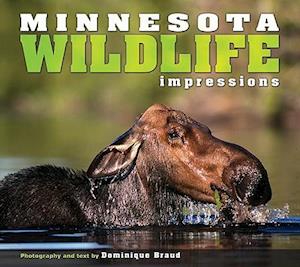 Minnesota Wildlife Impressions