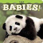 Zoo Babies!