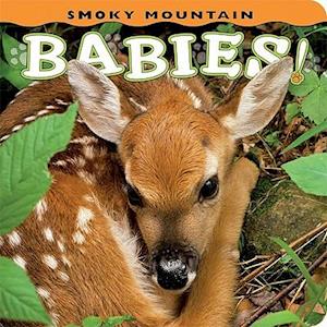 Smoky Mountain Babies!