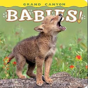 Grand Canyon Babies!