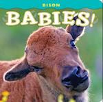 Bison Babies!