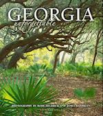 Georgia Unforgettable (Cumberland Island Cover)