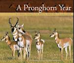 A Pronghorn Year