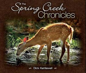 The Spring Creek Chronicles