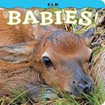 Elk Babies!