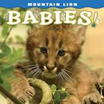 Mountain Lion Babies