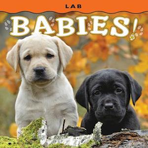 Lab Babies!