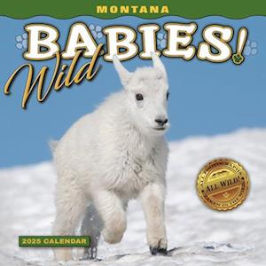 2025 Montana Wild Babies Mini Wall Calendar