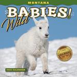 2025 Montana Wild Babies Mini Wall Calendar