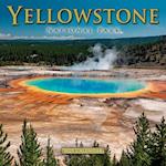 2025 Yellowstone Wall Calendar