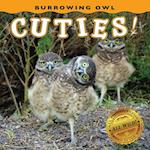 Burrowing Owl Cuties!