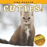 Pine Marten Cuties!