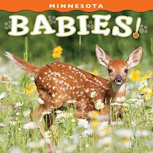 Minnesota Babies!