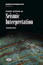 First Steps in Seismic Interpretation