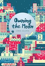 Owning the Moon