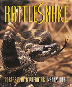 Rattlesnake