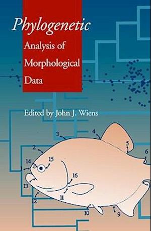 Phylogenetic Analysis of Morphological Data
